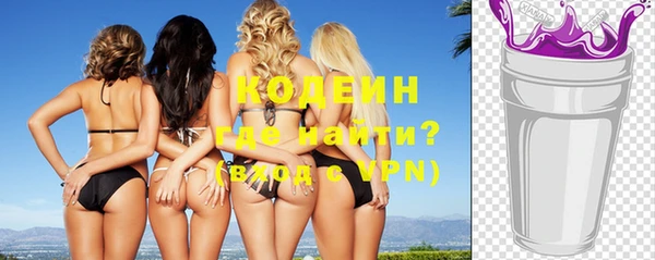 гидра Абаза