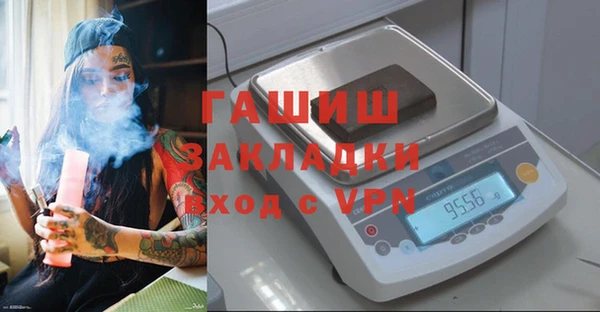 гидра Абаза