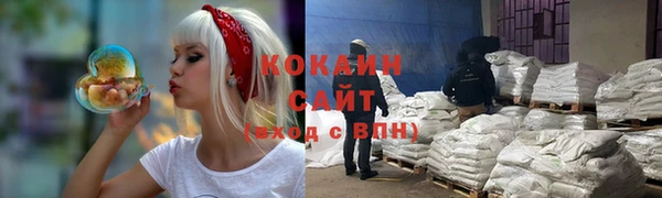 гидра Абаза