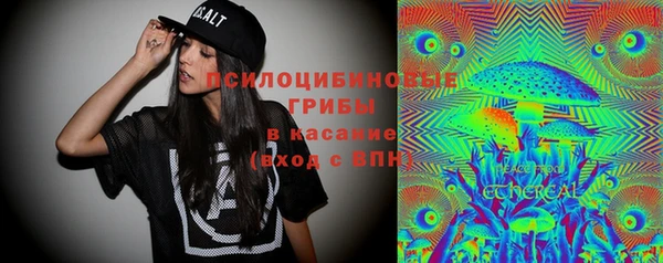 гидра Абаза