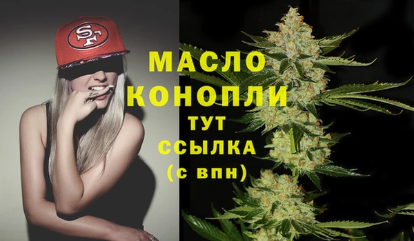 гидра Абаза