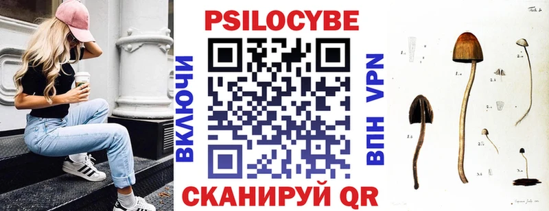 площадка формула  наркошоп  Ялта  Галлюциногенные грибы мицелий 